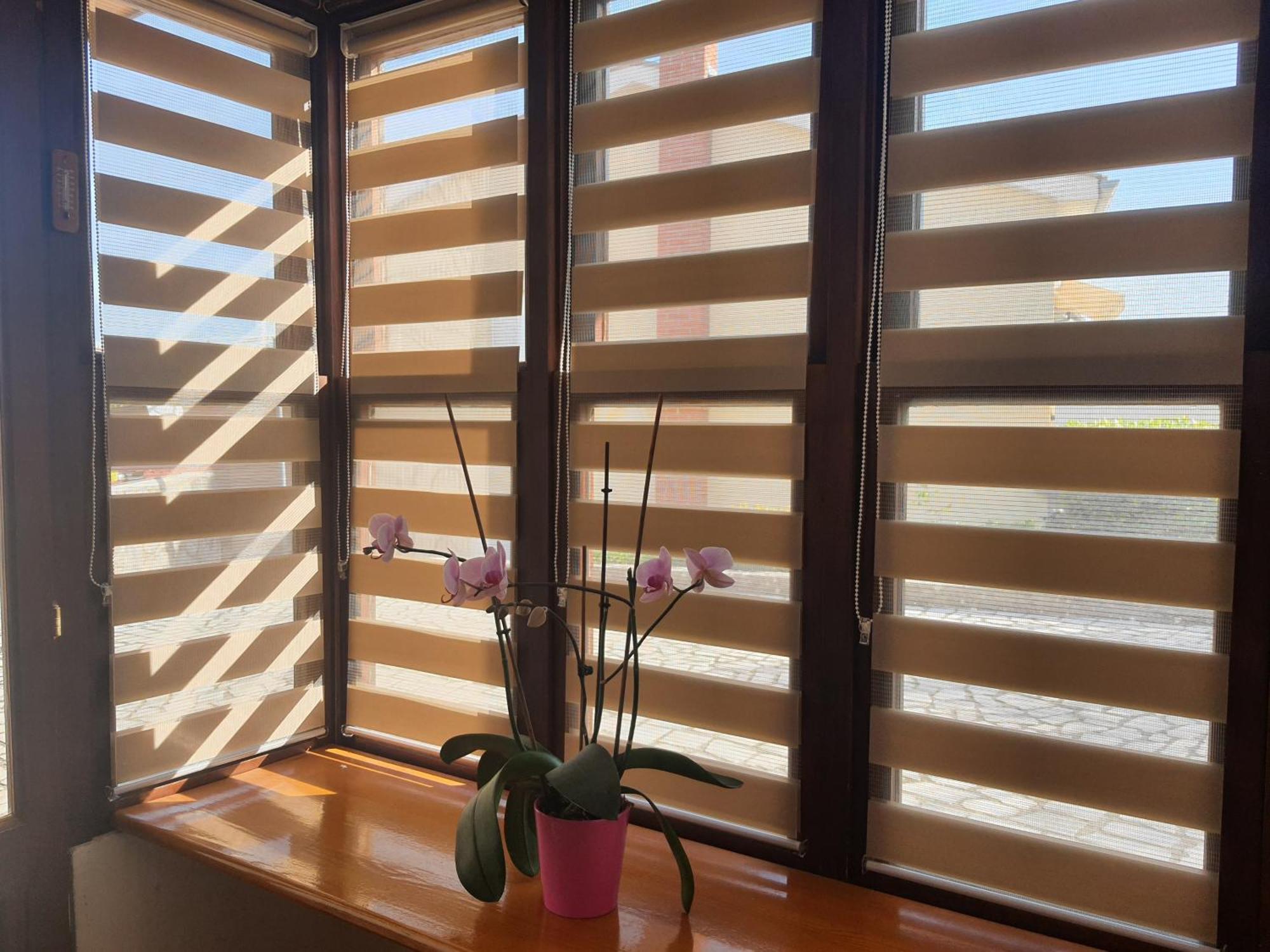 Apartments Vesna Avsec - คิร์ก ห้อง รูปภาพ